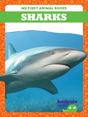 cover image of Sharks